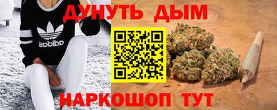 СК Краснодар