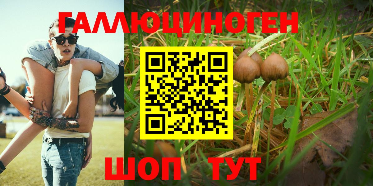 Карпинск  Галлюциногенные грибы мухоморы  Вход с VPN 