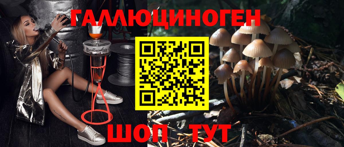 Псилоцибиновые грибы ЛСД Карпинск