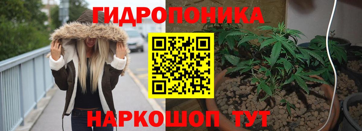 Марихуана OG Kush Карпинск